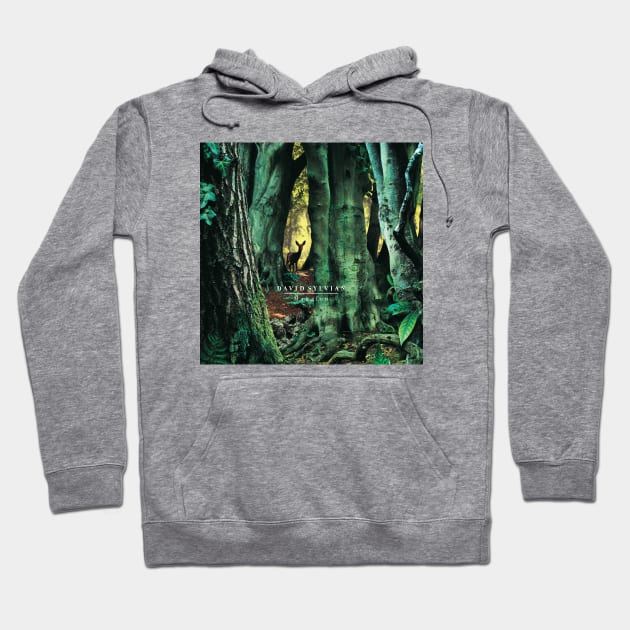 David Sylvian Manafon Album Cover Hoodie by asheribtllo